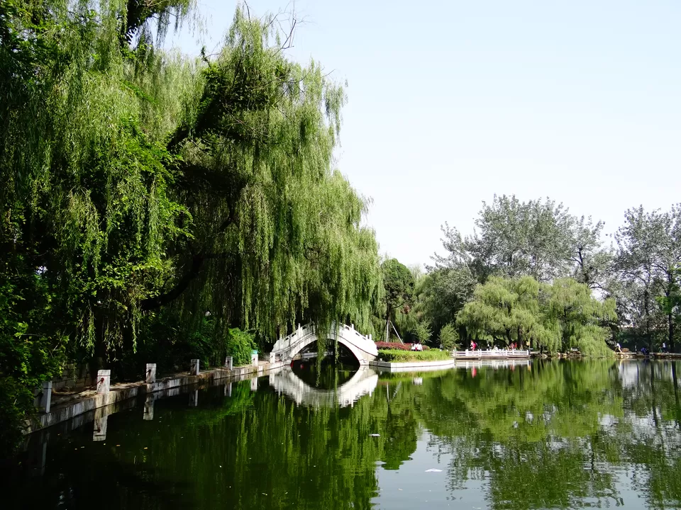 Photo of Lotus Hot Spring Hotel, Xinyang, China by Liv