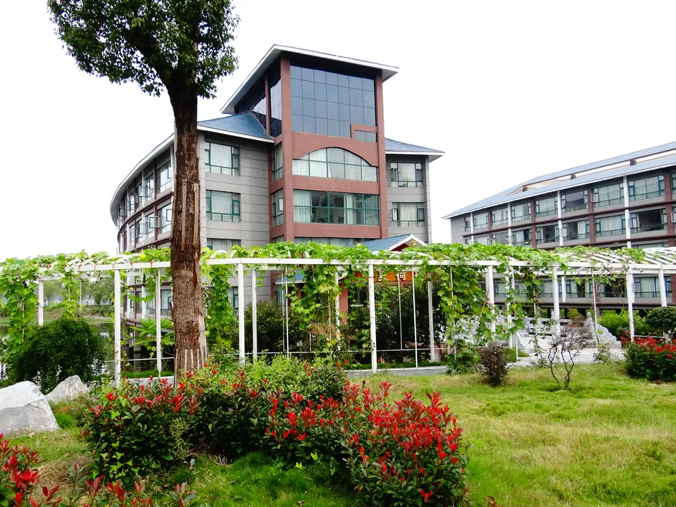 Photo of Lotus Hot Spring Hotel, Xinyang, China by Liv