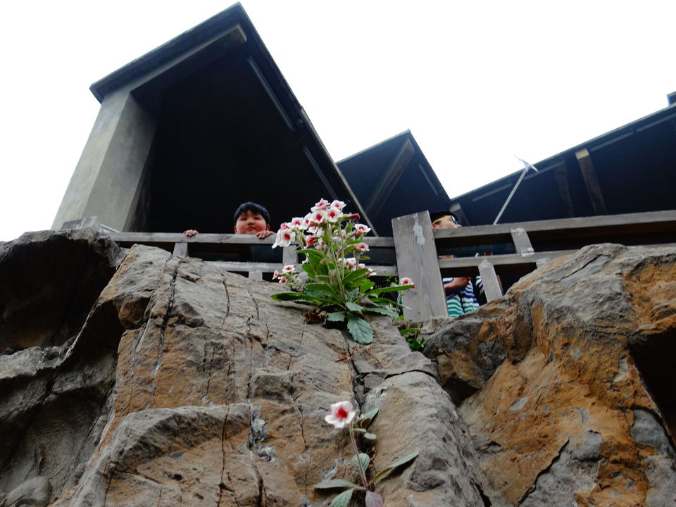 Photo of Longmen Grottoes by Liv