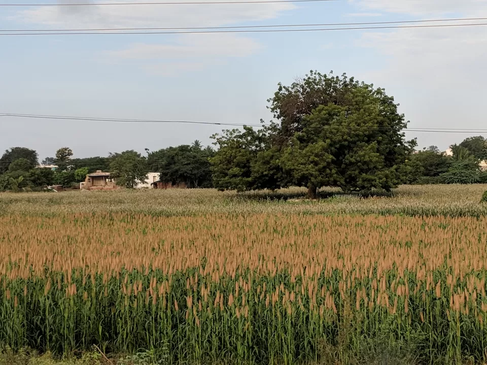 Photo of Bagalkot by Sushantika