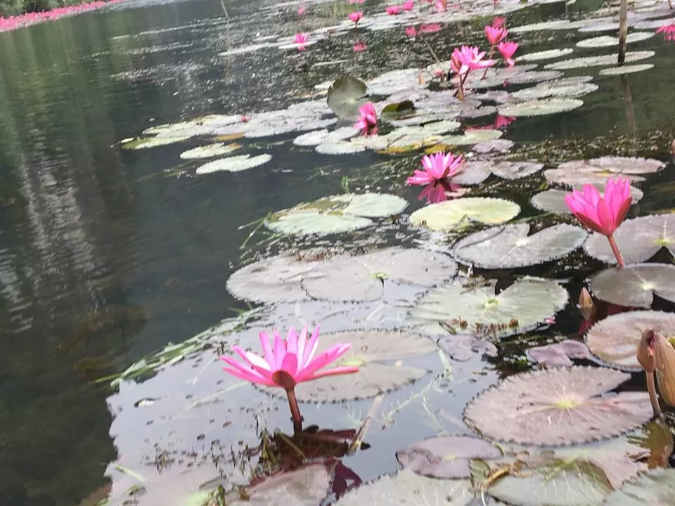 Photo of Tam Coc Ninh Binh, Ninh Hải, Hoa Lư District, Ninh Bình Province, Vietnam by Sushantika