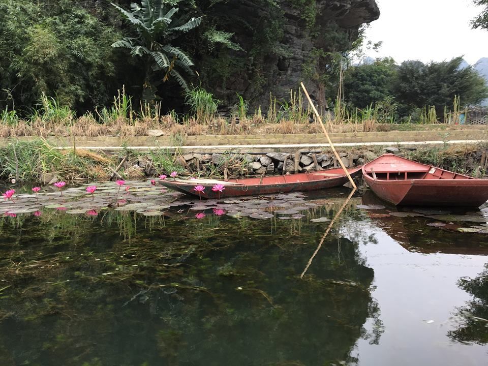 Photo of Tam Coc Ninh Binh, Ninh Hải, Hoa Lư District, Ninh Bình Province, Vietnam by Sushantika