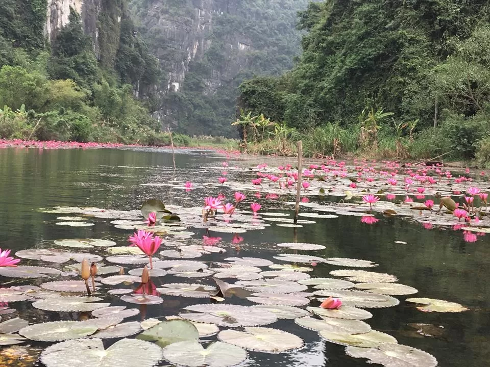 Photo of Tam Coc Ninh Binh, Ninh Hải, Hoa Lư District, Ninh Bình Province, Vietnam by Sushantika