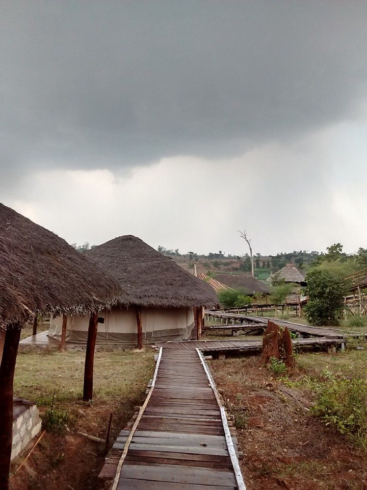 Photo of Chase the Sunset at Kabini, Karnataka #luxurygetaway 7/18 by Sushantika
