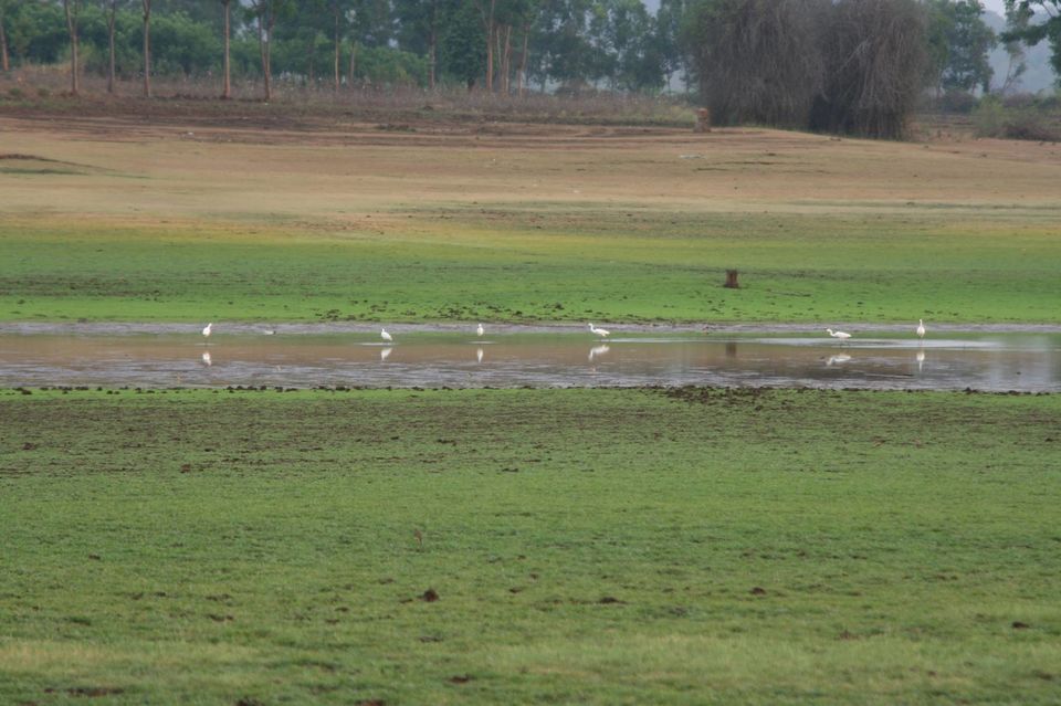 Photo of Chase the Sunset at Kabini, Karnataka #luxurygetaway 9/18 by Sushantika