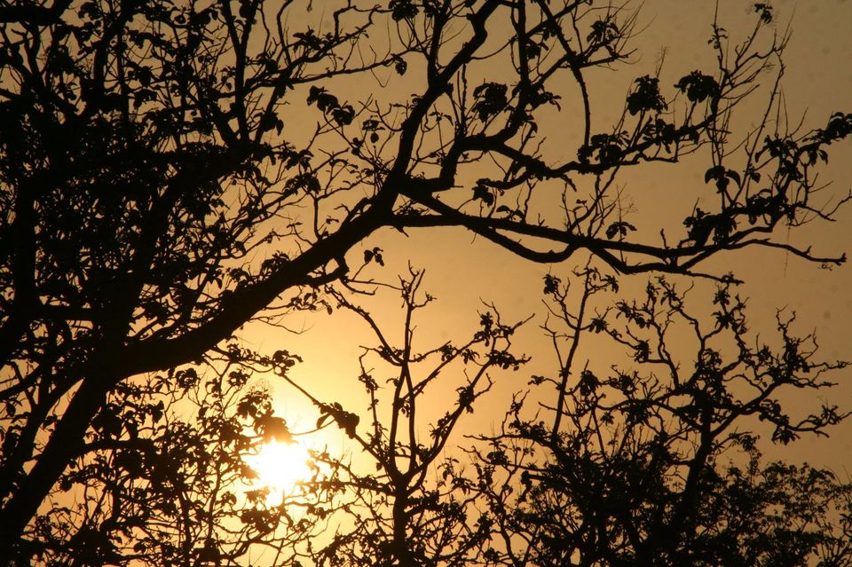 Photo of Chase the Sunset at Kabini, Karnataka #luxurygetaway 13/18 by Sushantika