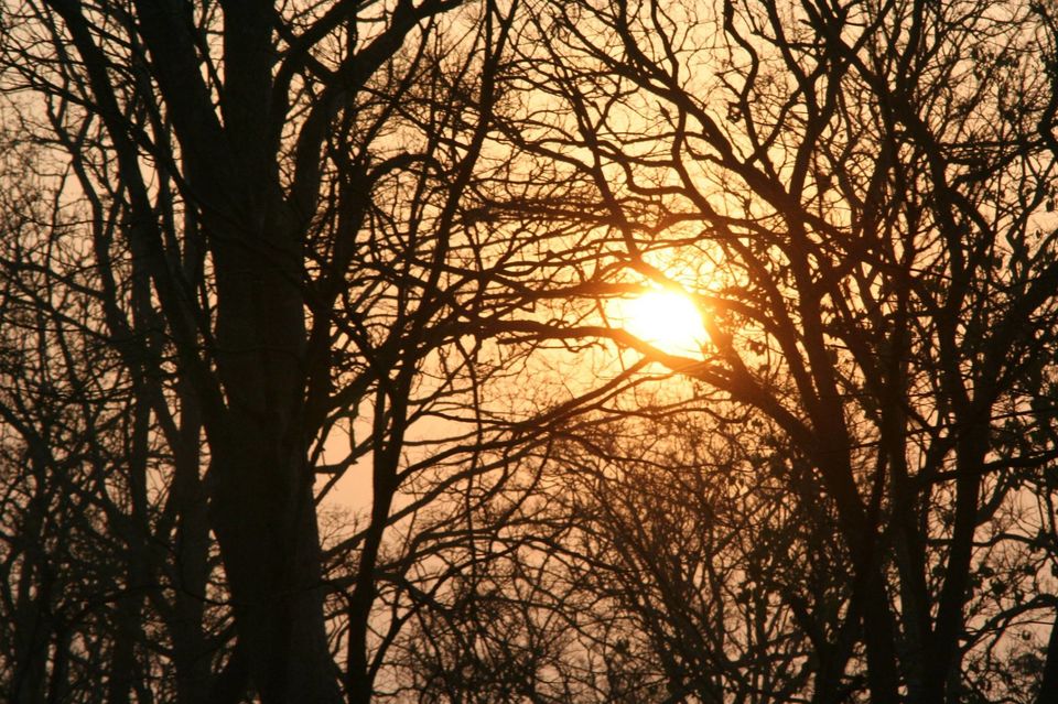 Photo of Chase the Sunset at Kabini, Karnataka #luxurygetaway 16/18 by Sushantika