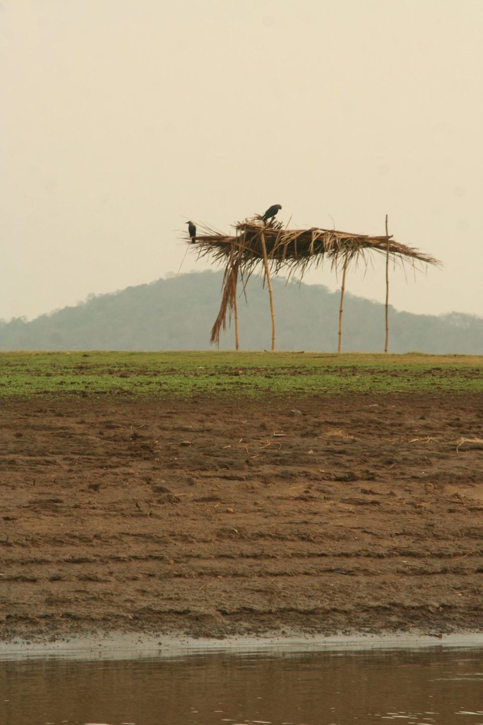 Photo of Chase the Sunset at Kabini, Karnataka #luxurygetaway 17/18 by Sushantika