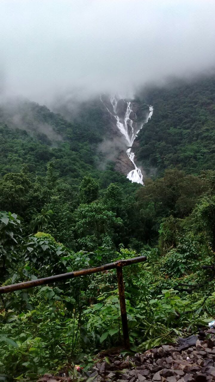 Photo of This monsoon trek is so good, it's now illegal: Dudhsagar Waterfalls  3/5 by Sushantika
