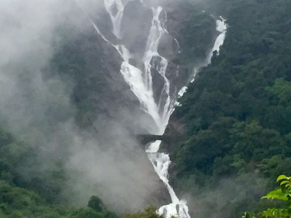 Photo of This monsoon trek is so good, it's now illegal: Dudhsagar Waterfalls  4/5 by Sushantika