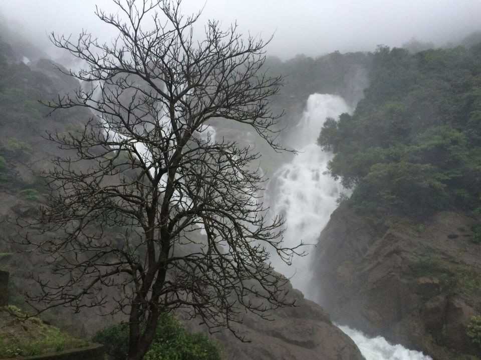 Photo of This monsoon trek is so good, it's now illegal: Dudhsagar Waterfalls  1/5 by Sushantika