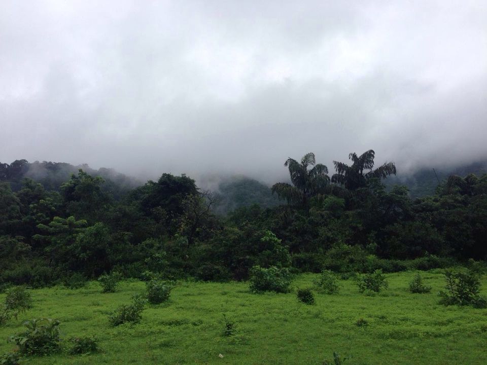 Photo of This monsoon trek is so good, it's now illegal: Dudhsagar Waterfalls 5/5 by Sushantika