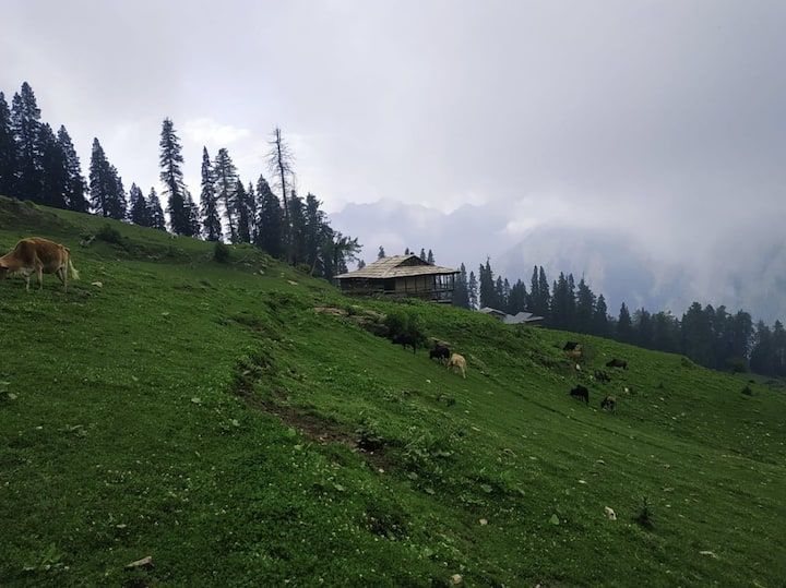 Photo of Everything You Need to Know About Shangarh, an Untouched Gem in Himachal Pradesh by Sushantika