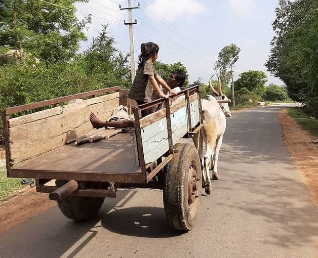 Photo of Why This Mother Believes That Travel Is the Best Gift You Can Give Your Children 2/3 by Sushantika