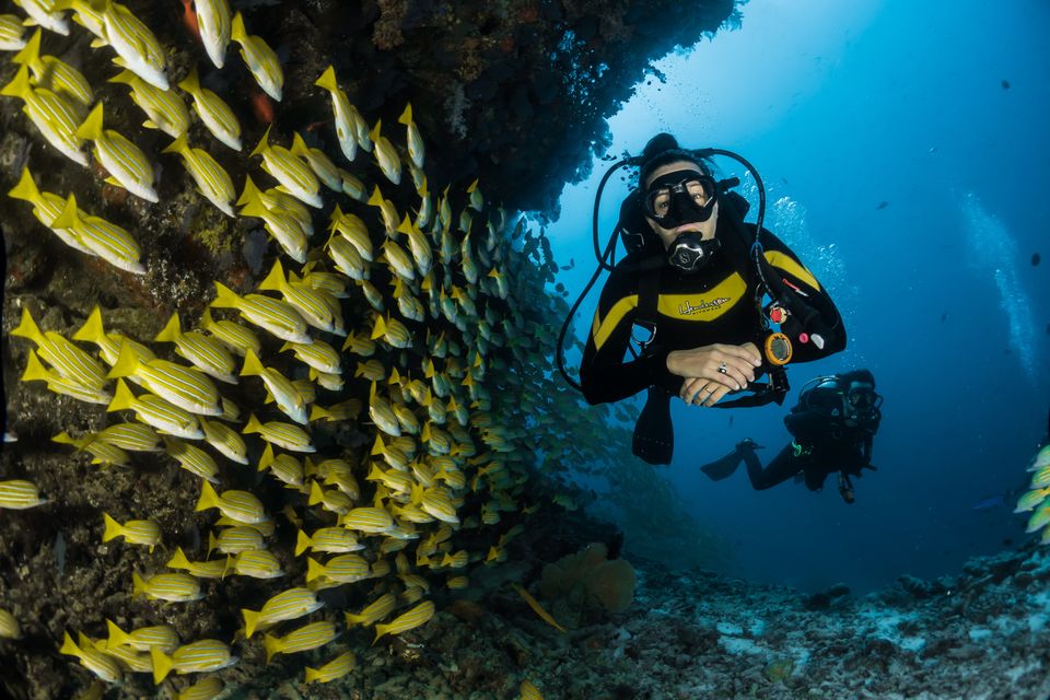 Photo of Discover India's 7500 Kilometers of Coastlines from Underwater! by Sushantika