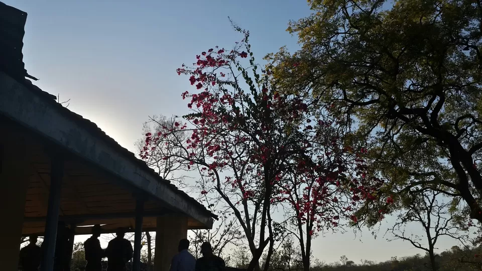 Photo of The little known jewel called Rangir by devika 