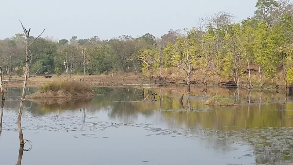 Photo of The little known jewel called Rangir by devika 