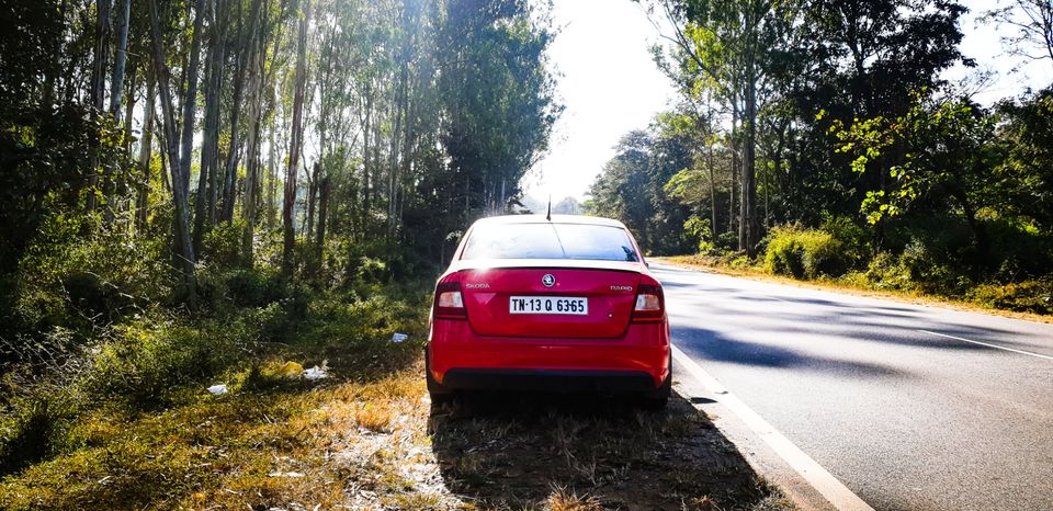 Photo of Wanderlust coorg by hari narayan