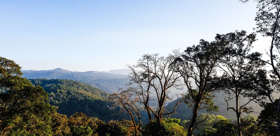 Photo of Wanderlust coorg by hari narayan