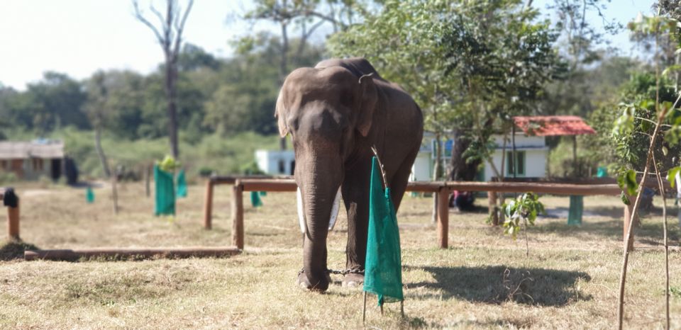 Photo of Wanderlust coorg by hari narayan