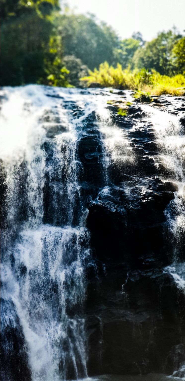 Photo of Wanderlust coorg by hari narayan
