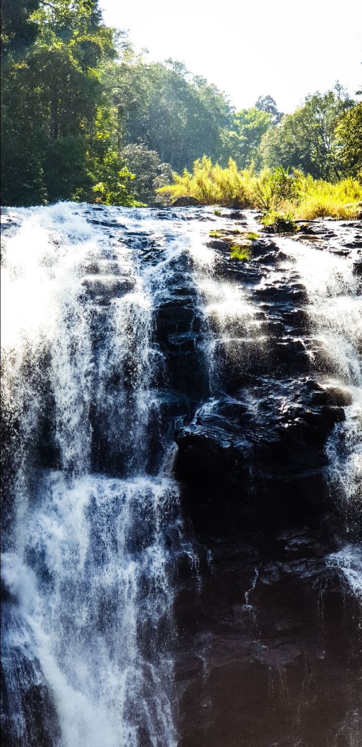 Photo of Wanderlust coorg by hari narayan