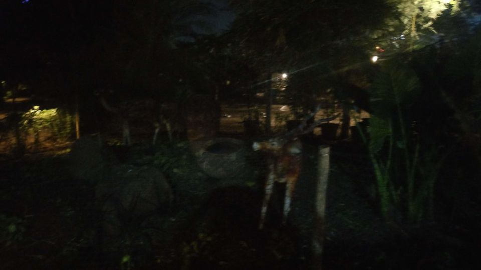 Photo of Sai Palace Garden Resort near Mumbai 3/12 by Khushbu Vakharia