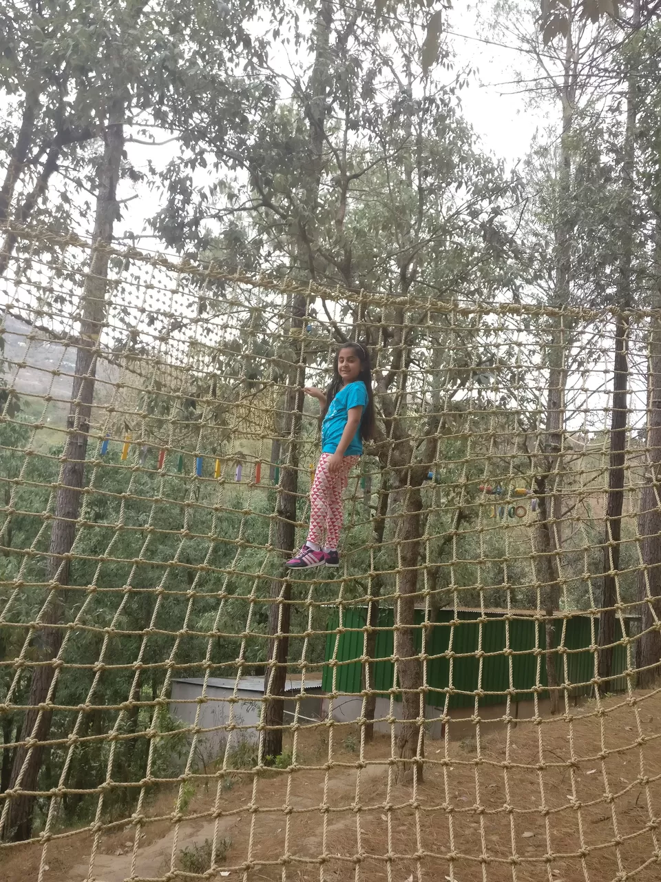 Photo of Aamod at Bhimtal, Bhimtal, Uttarakhand, India by Shailika Sinha