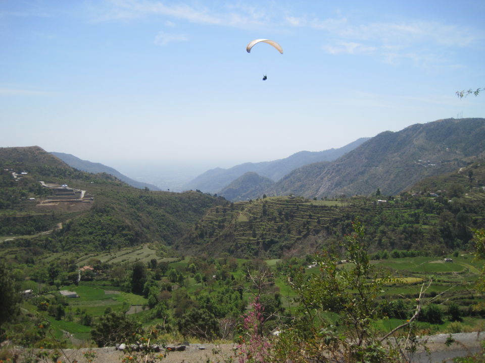 Photo of Paragliding Naukuchiatal, Jungaliya Gaon Road, Dungsilrawat, Uttarakhand, India by Shailika Sinha