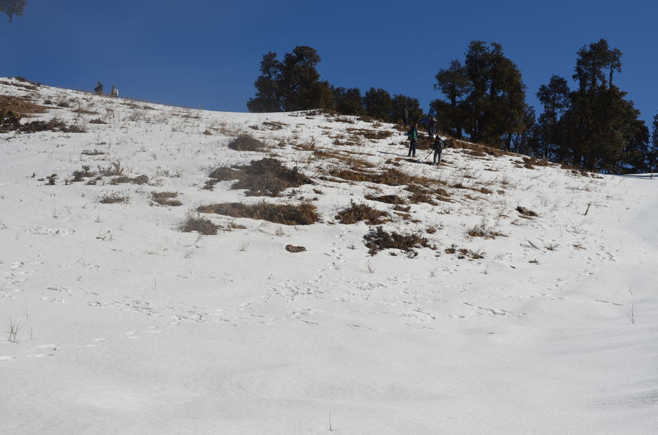 Photo of Exploring Hiking: Summiting the Nag Tibba 2/8 by Abha