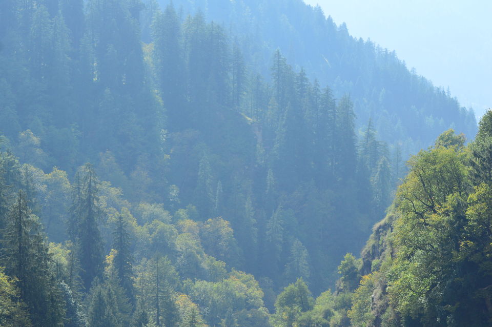 Photo of Turning to Godside – Kheerganga 6/17 by Shubhangi