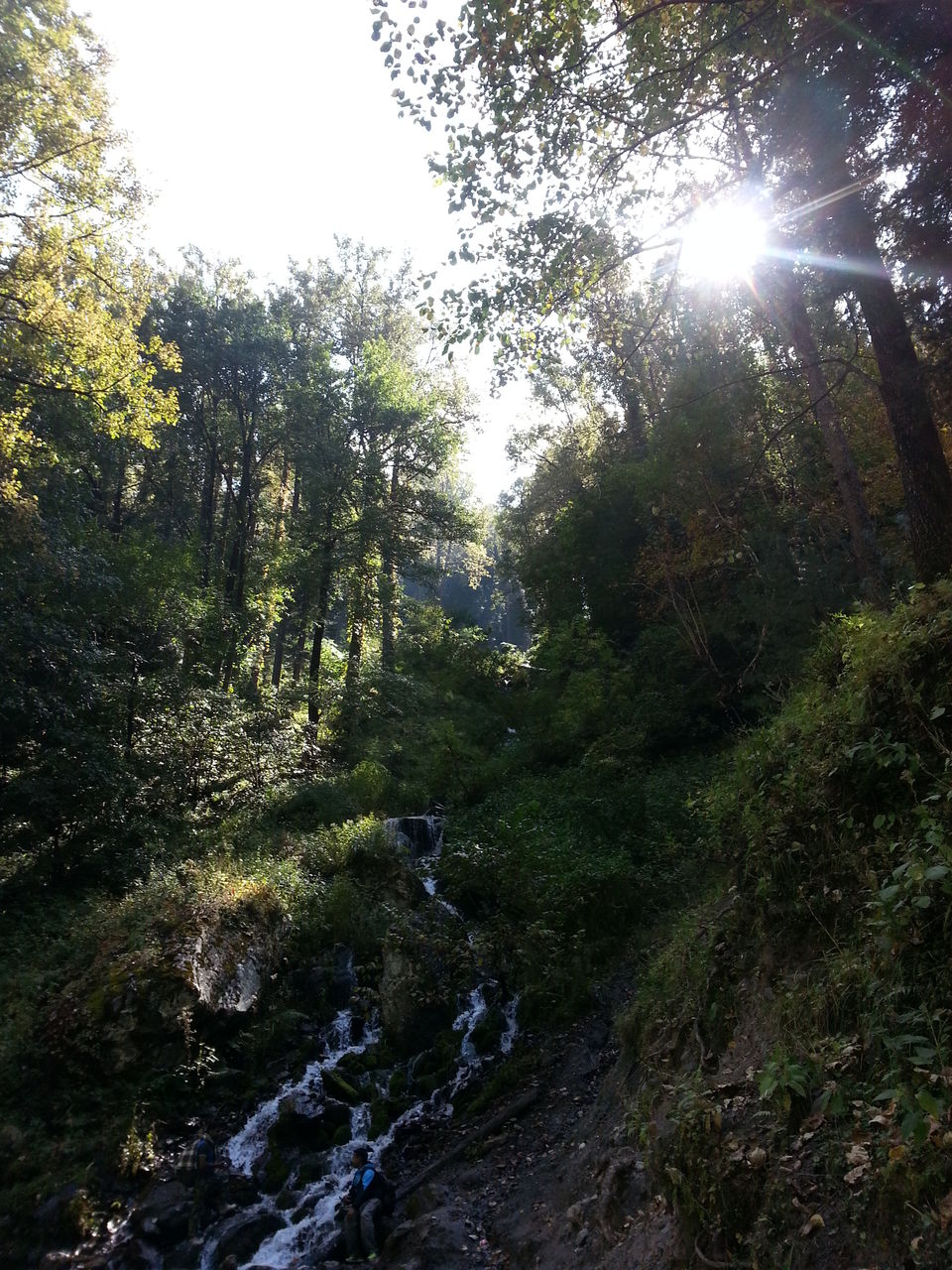 Photo of Turning to Godside – Kheerganga 9/17 by Shubhangi