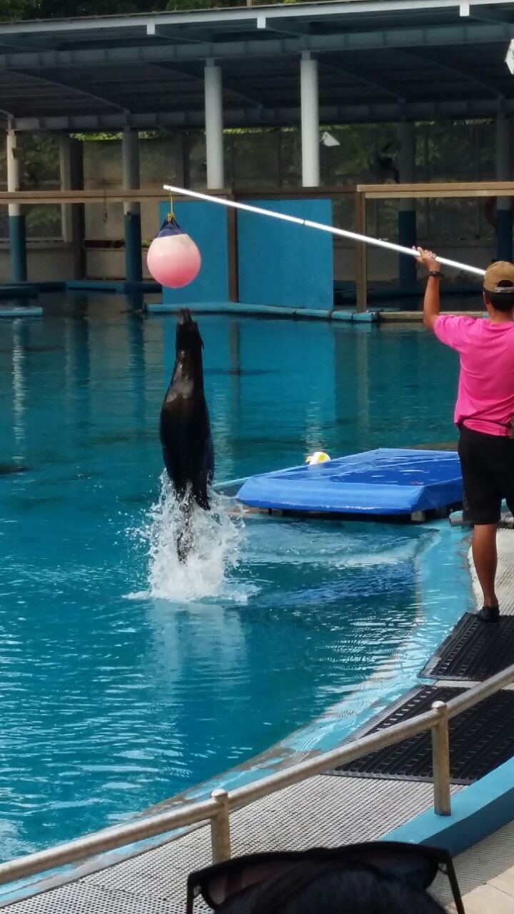 Photo of Singapore fun by Kru.