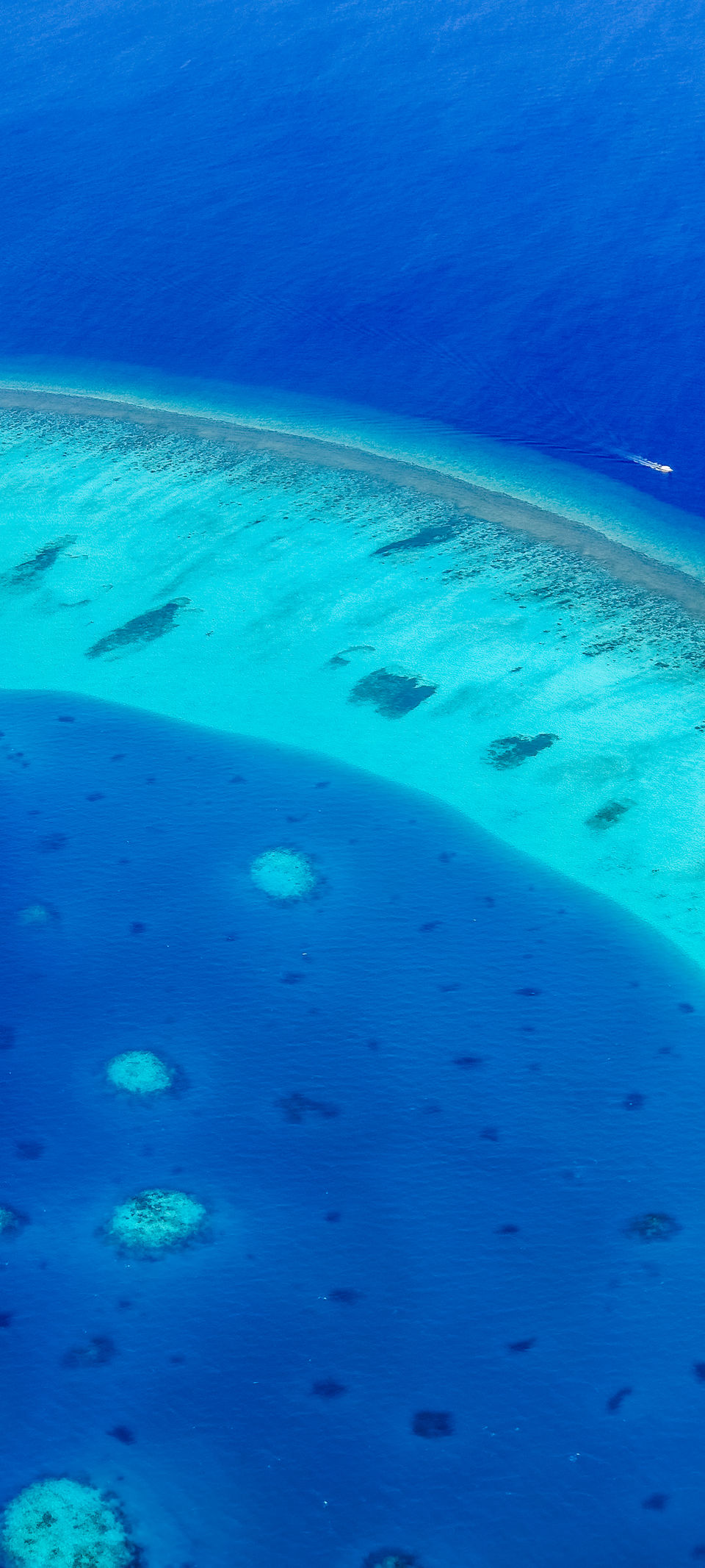 Photo of Maldives through a fresh lens #MemoryLane 8/38 by The Trip Seekers