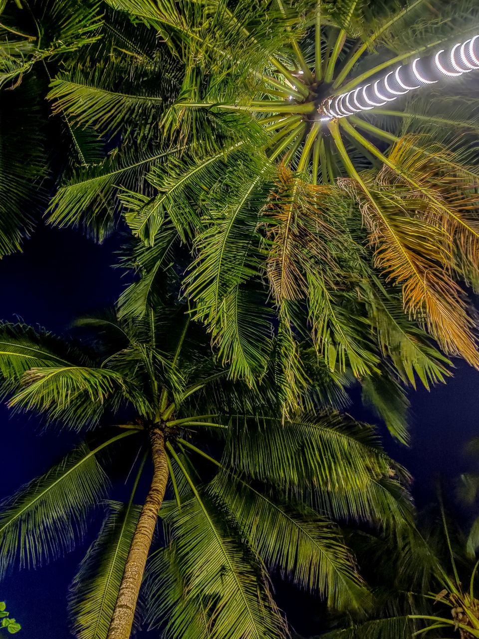 Photo of Maldives through a fresh lens #MemoryLane 29/38 by The Trip Seekers