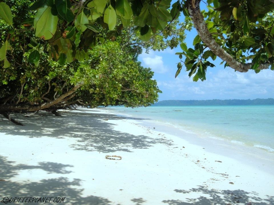 Photo of Havelock Island Is An Unexplored Paradise For Backpackers 21/21 by Sonal Kwatra Paladini