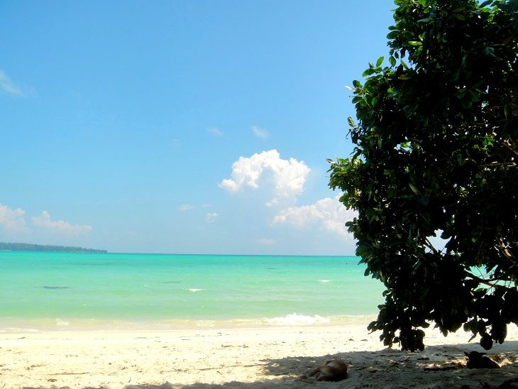 Photo of Havelock Island Is An Unexplored Paradise For Backpackers 6/21 by Sonal Kwatra Paladini
