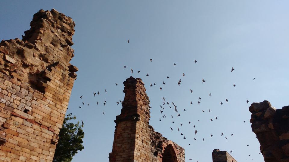 Photo of Step back in time with Qutub Minar 6/8 by Abhay Gupta