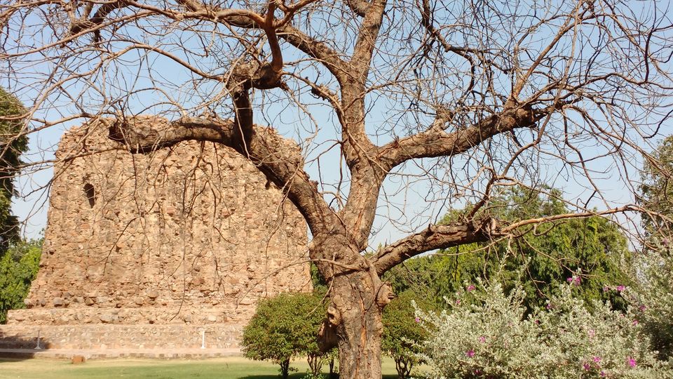 Photo of Step back in time with Qutub Minar 8/8 by Abhay Gupta