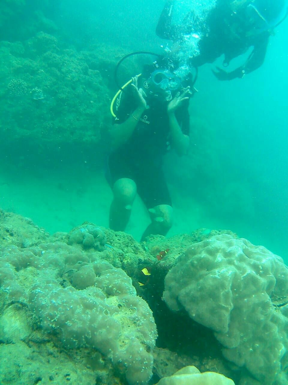 Photo of Havelock Island, Andaman and Nicobar Islands by Alpha Sierra