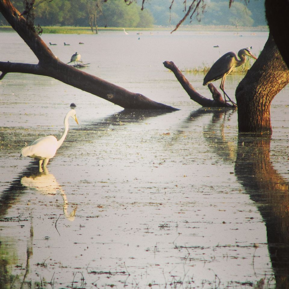 Photo of The awesome Plan B….. 1/1 by Sonal Pawar
