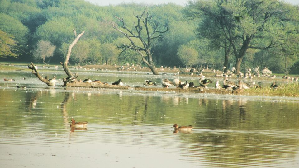 Photo of The awesome Plan B….. by Sonal Pawar