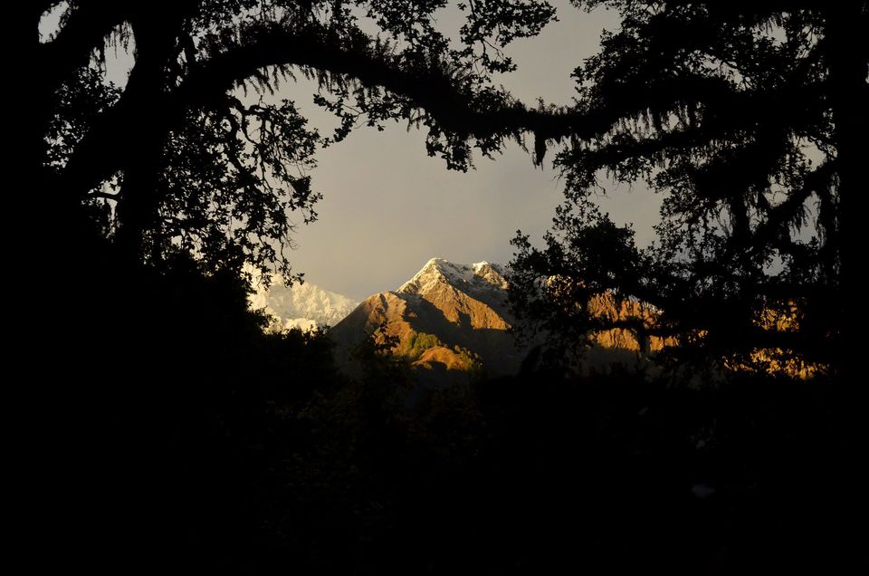 Photo of A trip to Dayara by Sanky Cse