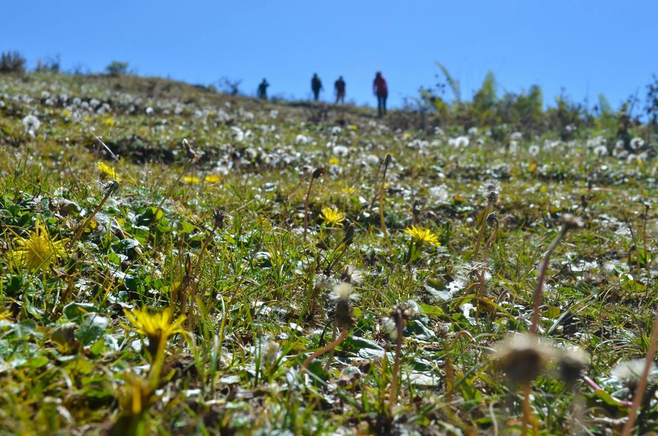 Photo of A trip to Dayara by Sanky Cse