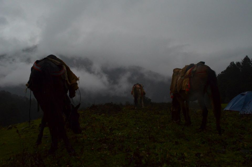 Photo of A trip to Dayara by Sanky Cse