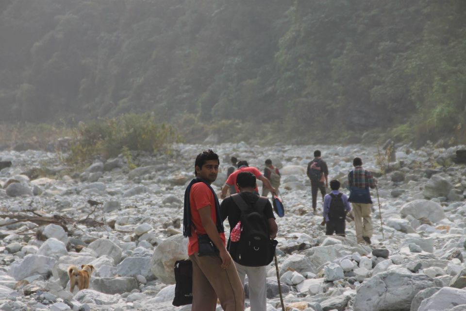 Photo of Journey To The Heaven Of Dooars!! by Sanky Cse