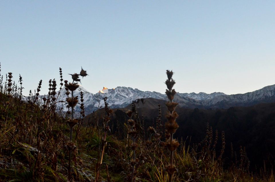 Photo of A trip to Dayara by Sanky Cse