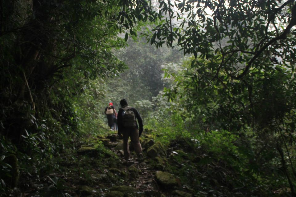 Photo of Journey To The Heaven Of Dooars ! by Sanky Cse