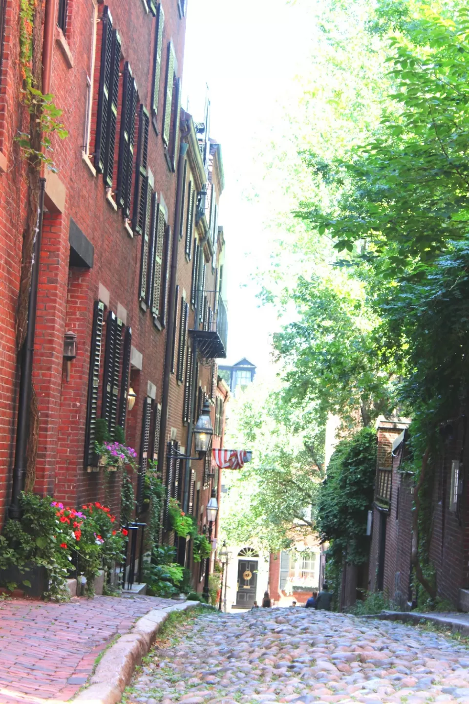 Photo of Boston,my party! by R Madhumati