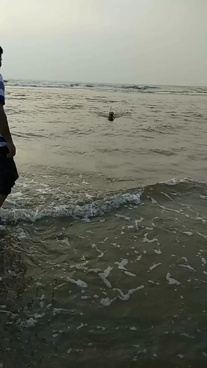 Photo of Aare ware beach & Talshil beach, a perfect destination for a family and friends trip in konkan! by R Madhumati